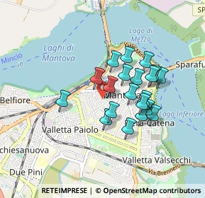 Mappa Via Bernardo de Canal, 46100 Mantova MN, Italia (0.703)