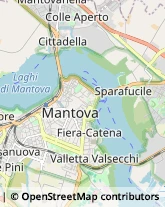 Consulenza Agricoltura e Foresta Mantova,46100Mantova