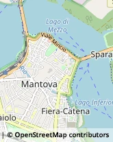 Consulenza Agricoltura e Foresta Mantova,46100Mantova