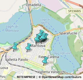 Mappa Piazza Mantegna, 46100 Mantova MN, Italia (0.42333)