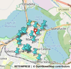 Mappa Piazza Mantegna, 46100 Mantova MN, Italia (0.8465)