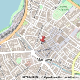 Mappa Via Guglielmo Oberdan, 31, 46100 Mantova, Mantova (Lombardia)
