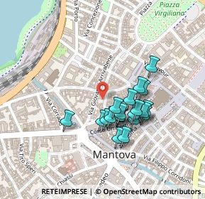 Mappa Via Ippolito Nievo, 46100 Mantova MN, Italia (0.182)