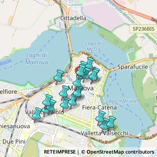 Mappa Via Ippolito Nievo, 46100 Mantova MN, Italia (0.837)