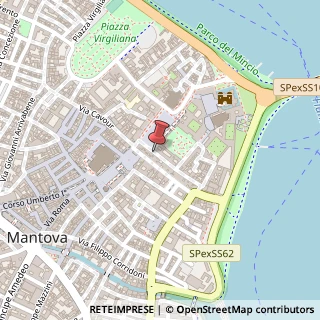 Mappa Via Don Enrico Tazzoli,  6, 46100 Mantova, Mantova (Lombardia)