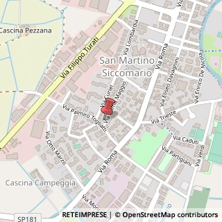 Mappa Via Primo Maggio, 1, 27028 San Martino Siccomario, Pavia (Lombardia)