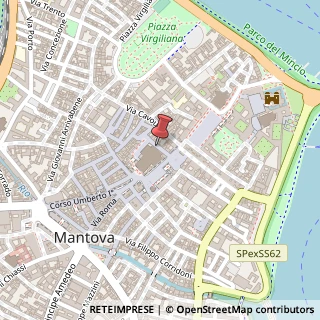 Mappa Via leon d'oro 29, 46100 Mantova, Mantova (Lombardia)