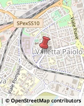 Viale Gorizia, 21,46100Mantova