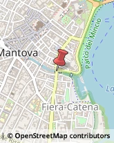 Via Trieste, 8,46100Mantova