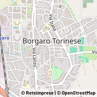 Map Borgaro Torinese
