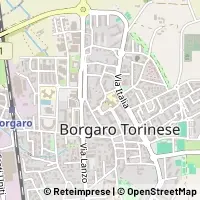 Hartă Borgaro Torinese
