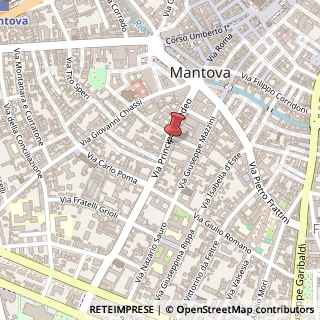 Mappa Via Principe Amedeo, 30/32, 46100 Mantova, Mantova (Lombardia)