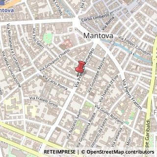 Mappa Via Principe Amedeo, 35, 46100 Mantova, Mantova (Lombardia)