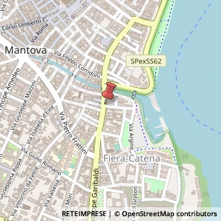 Mappa Via Mario Cardone, 2, 46100 Mantova, Mantova (Lombardia)