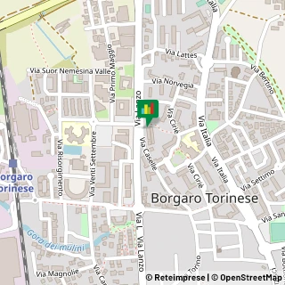 Via Caselle, 40,10071Borgaro Torinese