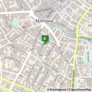 Via Giuseppe Mazzini, 24,46100Mantova