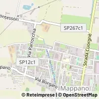 지도 Caselle Torinese