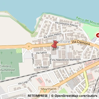 Mappa Via Cremona, 36, 46100 Mantova, Mantova (Lombardia)