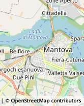 Palestre e Centri Fitness Mantova,46100Mantova