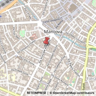 Mappa Via Principe Amedeo, 25, 46100 Mantova, Mantova (Lombardia)