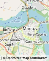 Laboratori Odontotecnici Mantova,46100Mantova