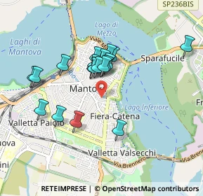 Mappa 8, 46100 Mantova MN, Italia (0.77526)