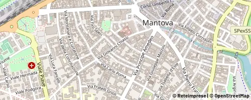 Mappa Mantua