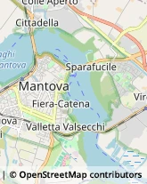 Elettricisti Mantova,46100Mantova