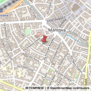Mappa Via de' cani giovanni 10, 46100 Mantova, Mantova (Lombardia)