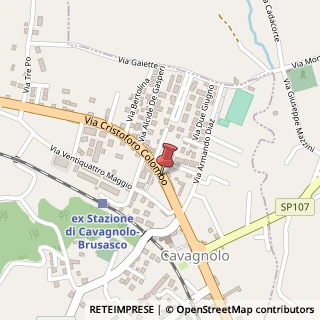 Mappa Via Cristoforo Colombo,  104, 10020 Cavagnolo, Torino (Piemonte)