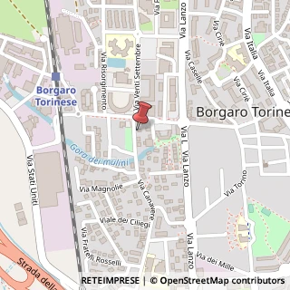 Mappa Via Canavere, 5, 10071 Borgaro Torinese, Torino (Piemonte)
