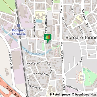 Via Canavere, 5,10071Borgaro Torinese