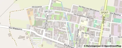 Mappa Caselle Torinese