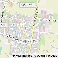 Mapa Caselle Torinese