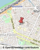 Via E. Dugoni, 11,46100Mantova