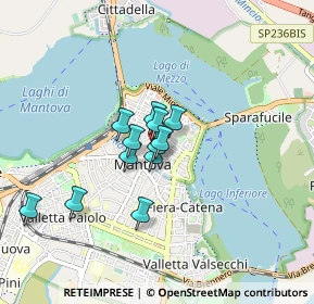 Mappa Vicolo Carbone, 46100 Mantova MN, Italia (0.56333)