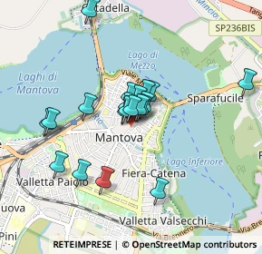 Mappa Vicolo Carbone, 46100 Mantova MN, Italia (0.677)