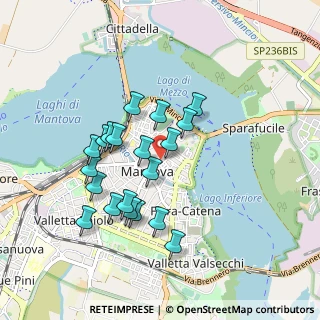 Mappa Vicolo Carbone, 46100 Mantova MN, Italia (0.8125)