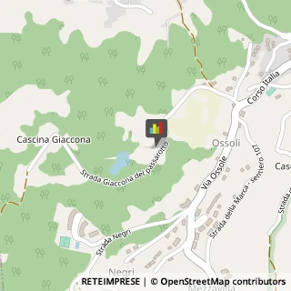 Bed e Breakfast Castagneto Po,10090Torino