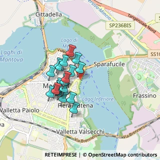 Mappa Lungolago Gonzaga, 46100 Mantova MN, Italia (0.675)