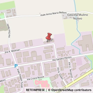 Mappa Via A. Molinari, snc, 26845 Codogno, Lodi (Lombardia)