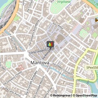 Articoli per Ortopedia Mantova,46100Mantova