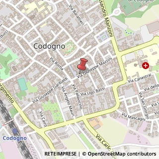 Mappa Via Giuseppe Mazzini, 30, 26845 Codogno, Lodi (Lombardia)
