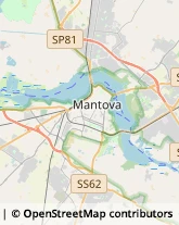 Consulenza di Direzione ed Organizzazione Aziendale Mantova,46100Mantova