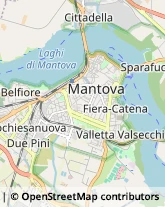 Consulenza di Direzione ed Organizzazione Aziendale Mantova,46100Mantova