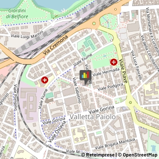 Autolinee,46100Mantova
