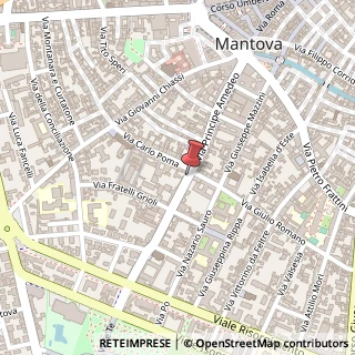 Mappa Via Giovanni Acerbi, 3, 46100 Mantova, Mantova (Lombardia)