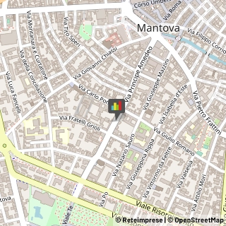 Macellerie Equine Mantova,46100Mantova