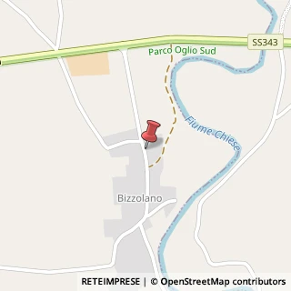 Mappa Via Bizzolano, 66, 46013 Canneto sull'Oglio, Mantova (Lombardia)