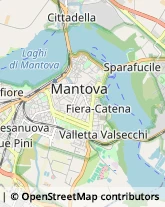 Prodotti da Snack Mantova,46100Mantova